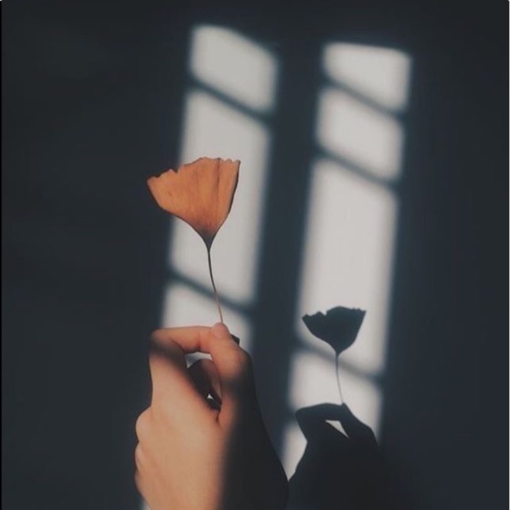 Meet your Posher, Lilly